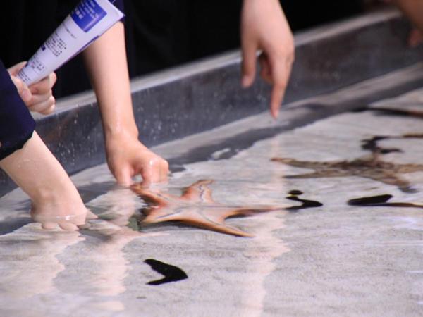 คะริยุชิ คอนโดมิเนียม รีสอร์ต ชะตัง อะระฮะ ซันเซ็ต ชาตัน ภายนอก รูปภาพ